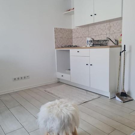 Cute Modern Apartman Zagrebアパートメント エクステリア 写真